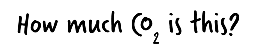 Text reads "How much CO₂ is this?" in a playful font, with the 2 in CO₂ as a subscript—perfect for sharing info about us and our commitment to sustainability.