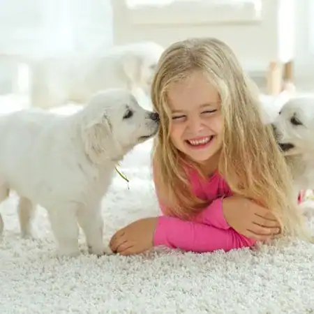 A young girl with long blonde hair lies on a white carpet, smiling as two white puppies nuzzle her face, enjoying the cool comfort of high velocity air conditioning in the room.