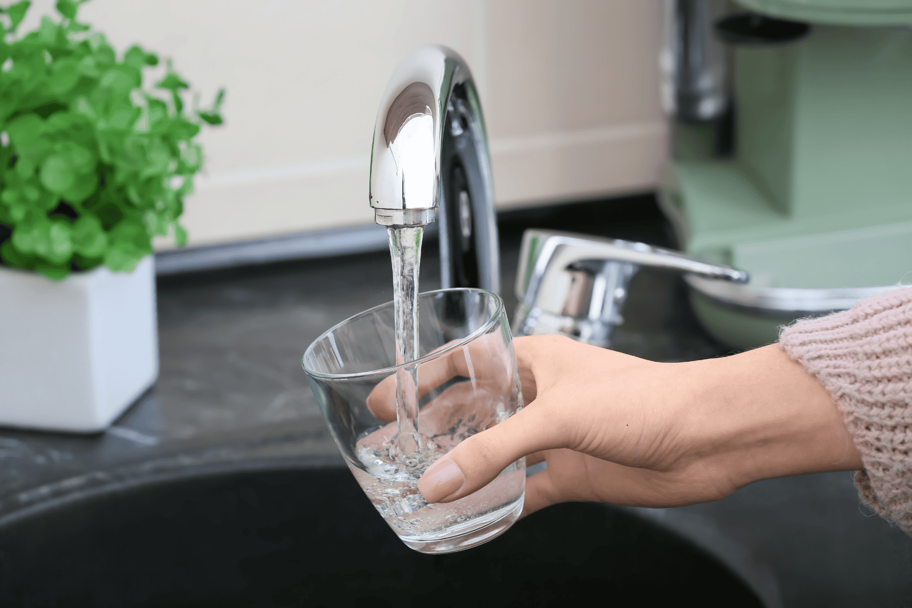 A hand holds a glass under a chrome kitchen faucet, filling it with water. The tap is running, but the glass begins to show cloudy tap water. A potted plant is visible on the counter in the background, hinting at a cozy kitchen setting where one might start to troubleshoot faucets and investigate possible causes of cloudy water.