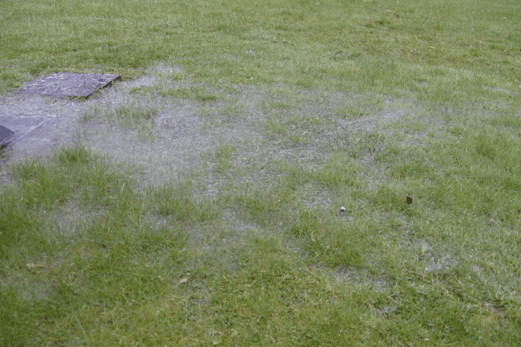 A patch of grass partially submerged in standing water next to a utility cover, showing common signs of a home water leak.